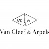 V*ANC*LEEF